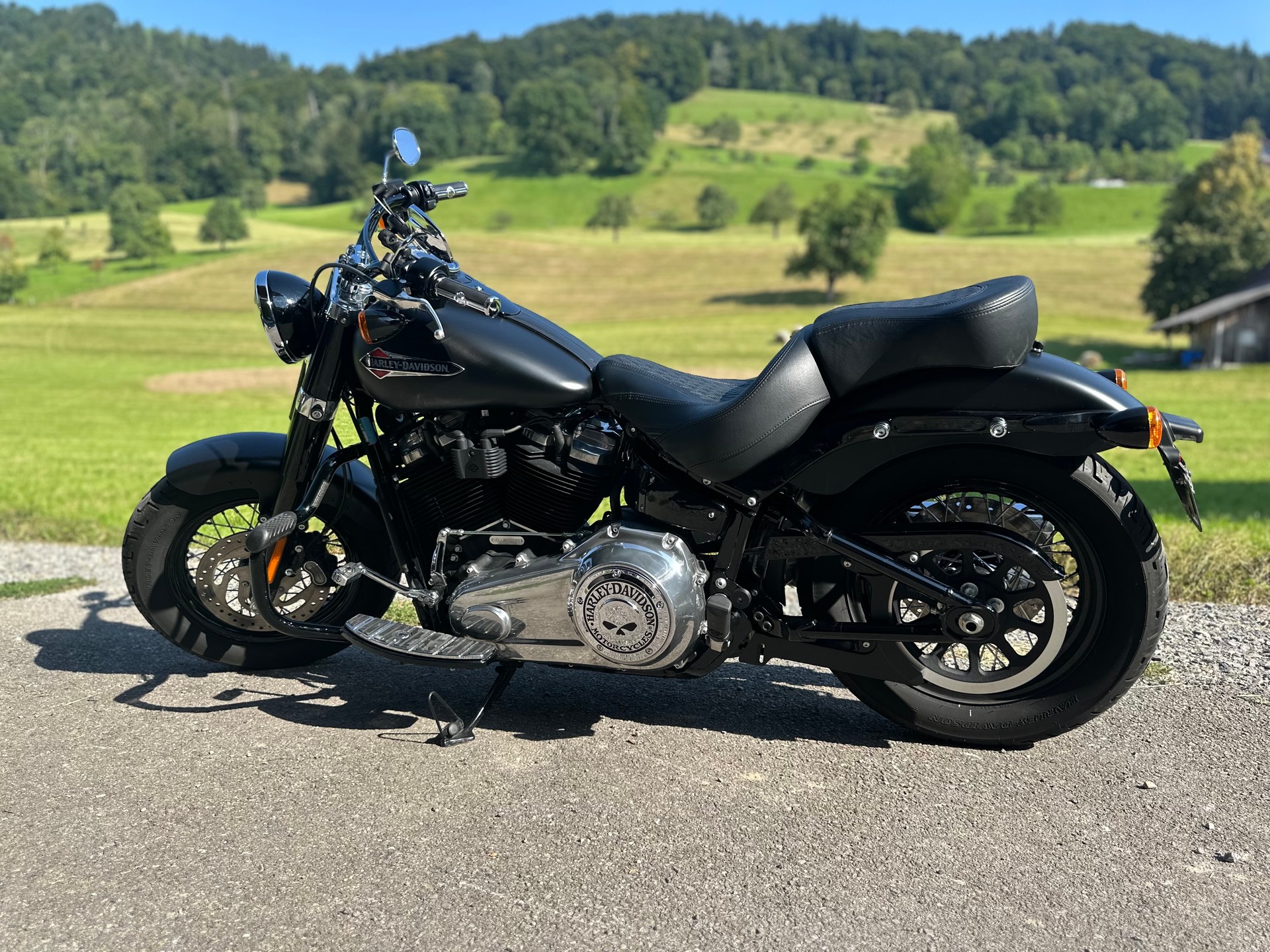 HARLEY-DAVIDSON FLSL Softail Slim 107 ABS-image-1