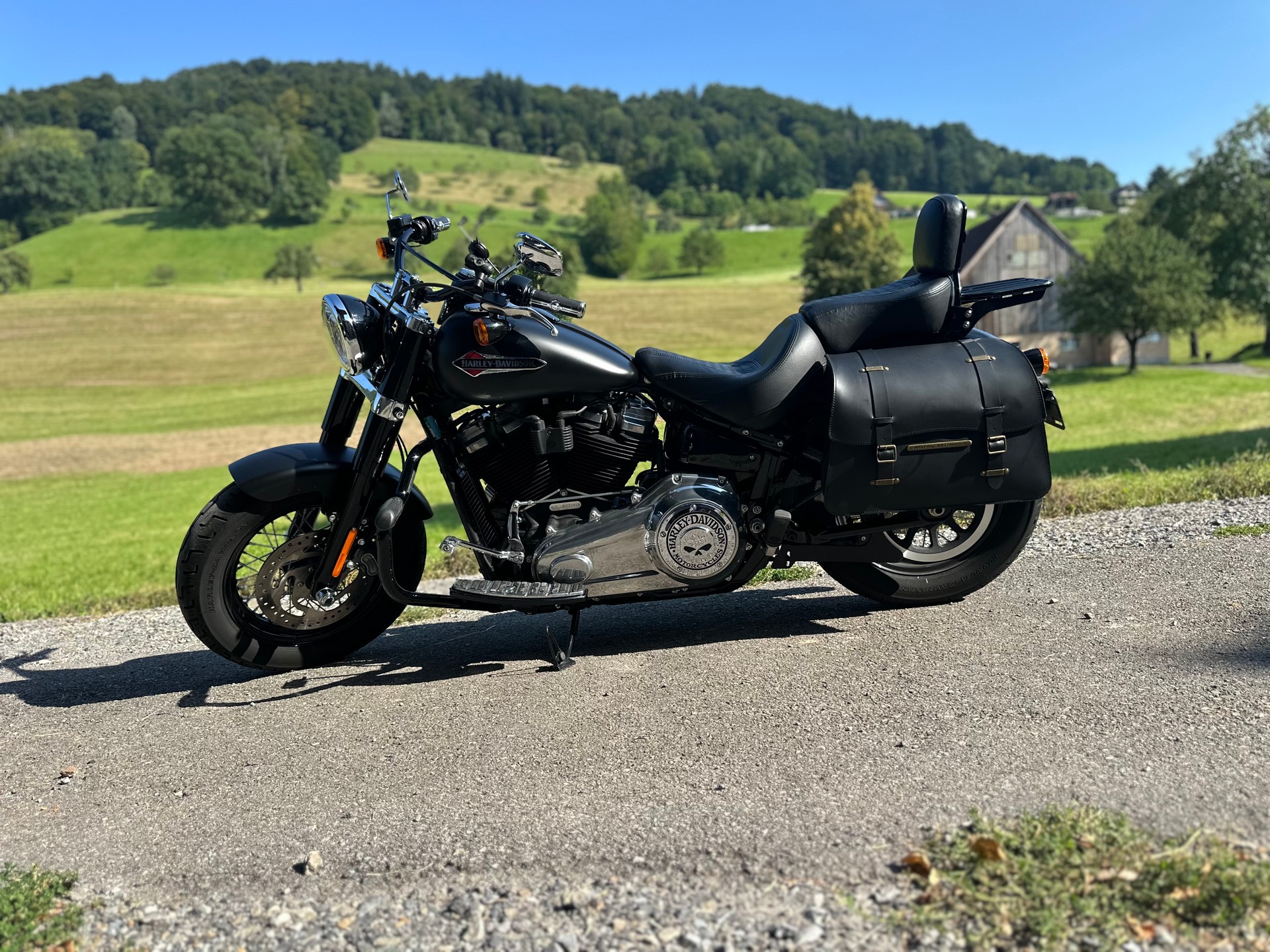 HARLEY-DAVIDSON FLSL Softail Slim 107 ABS-image-2