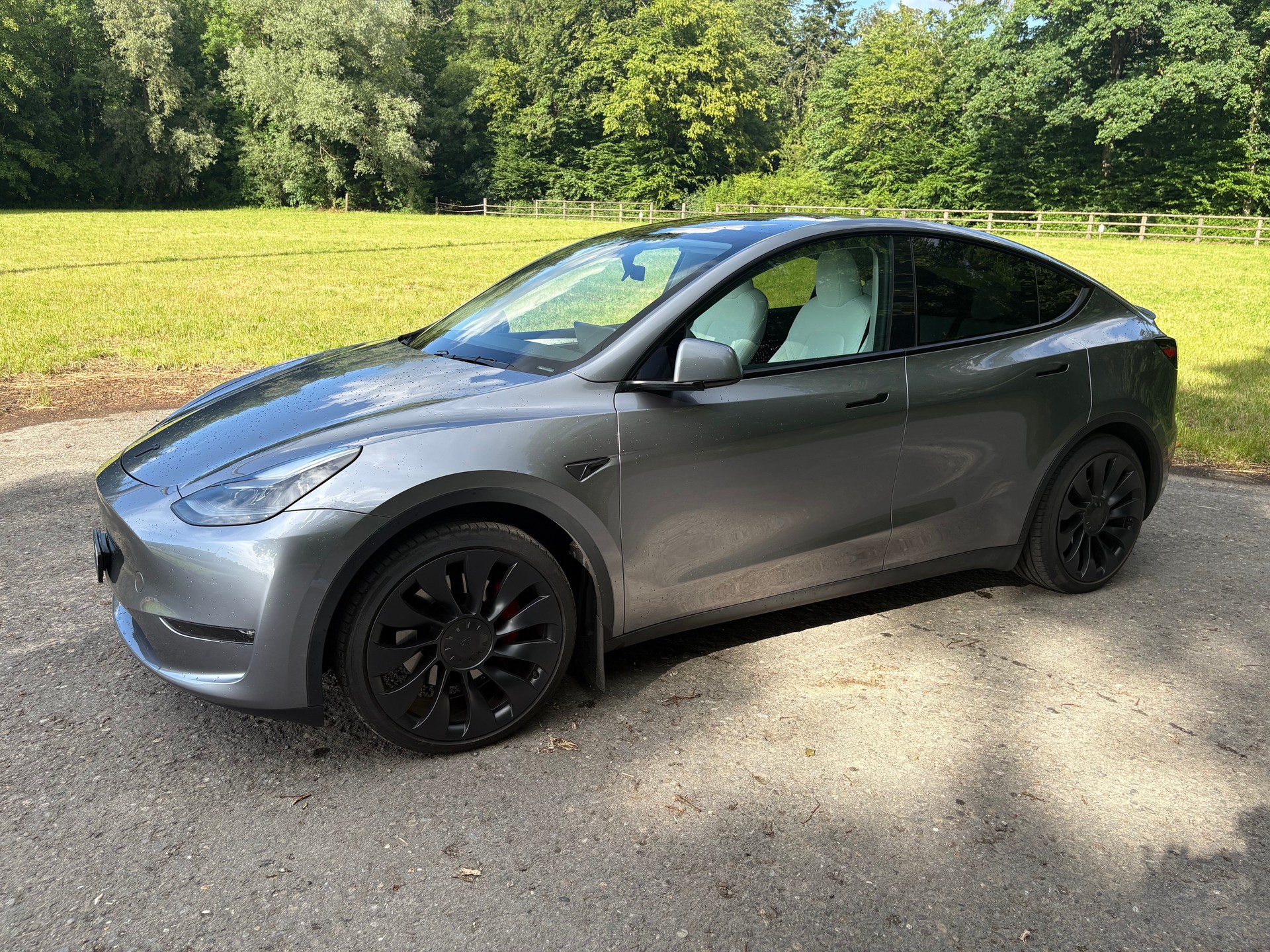 TESLA Model Y Performance