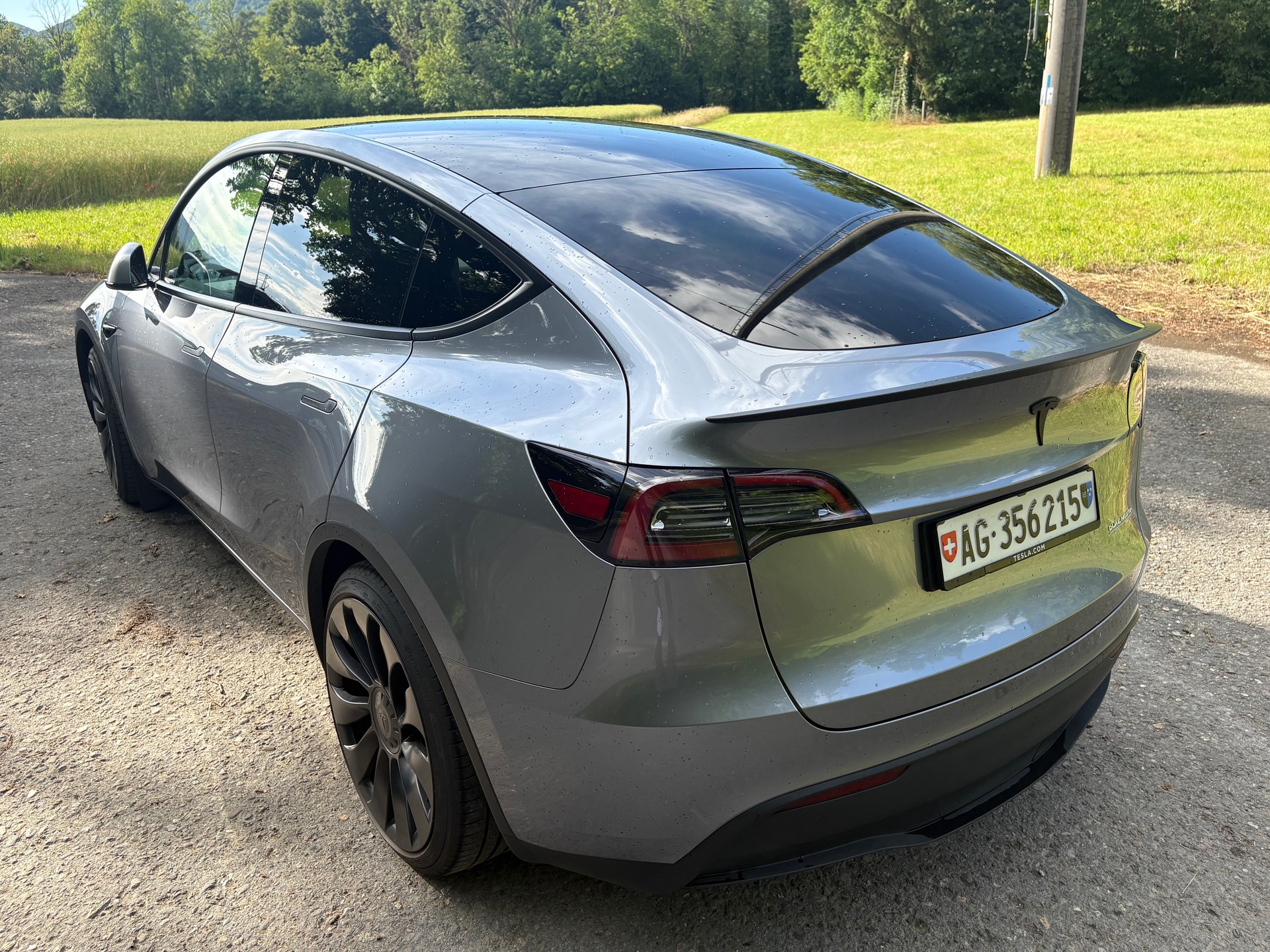 TESLA Model Y Performance-image-1