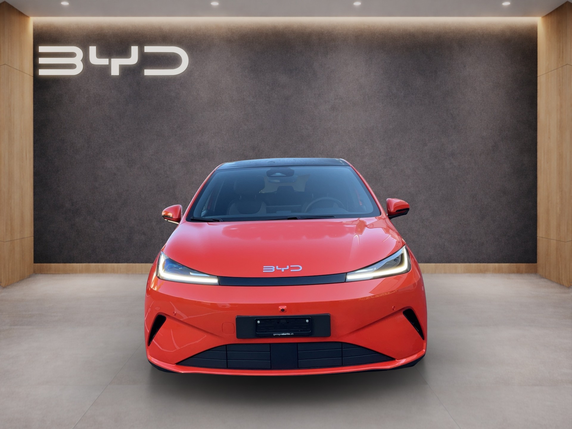 BYD Dolphin G DM-i Comfort-showroom-element-1