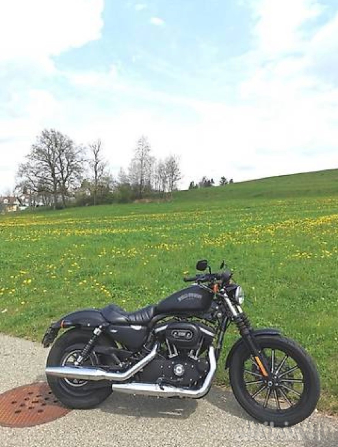 HARLEY-DAVIDSON XL 883 N Sportster Iron-image-2