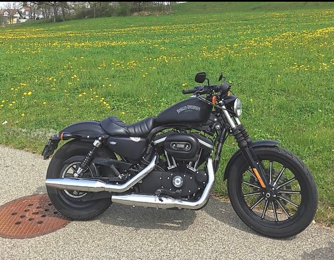 HARLEY-DAVIDSON XL 883 N Sportster Iron-image-3