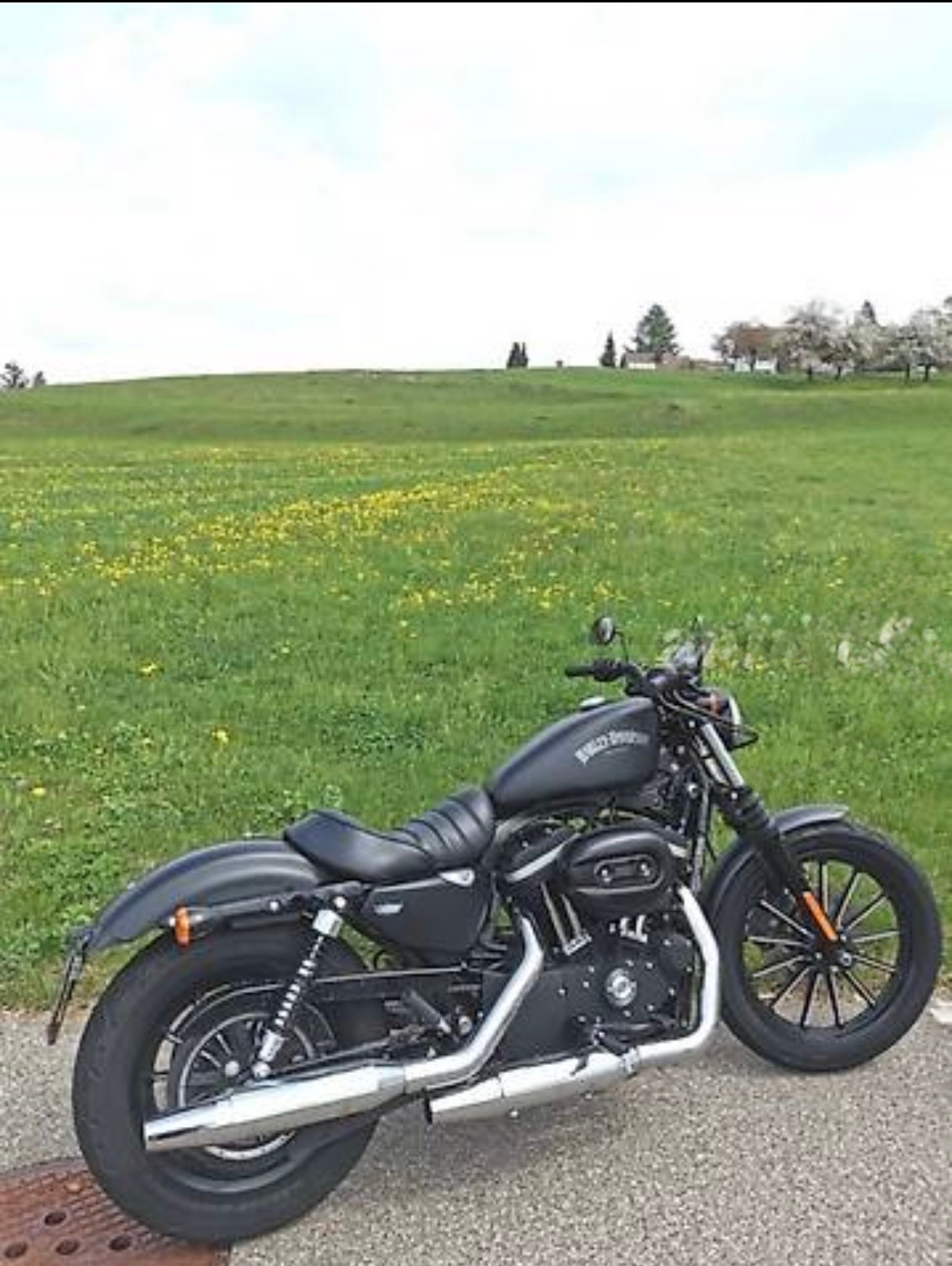 HARLEY-DAVIDSON XL 883 N Sportster Iron-image-1