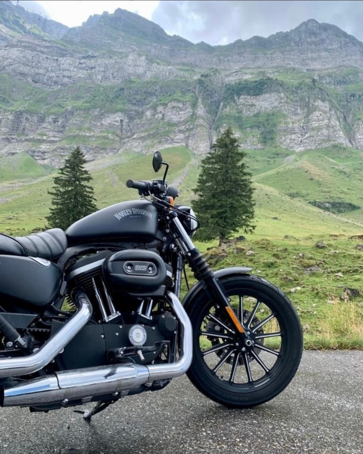 HARLEY-DAVIDSON XL 883 N Sportster Iron-image-0