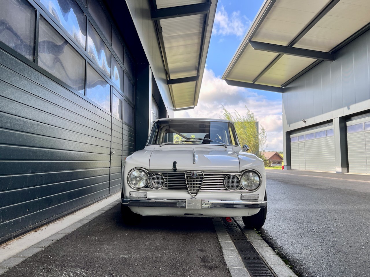 ALFA ROMEO Giulia Super 1600-image-3