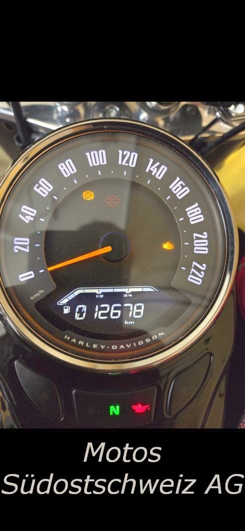 HARLEY-DAVIDSON FLHCS-image-5