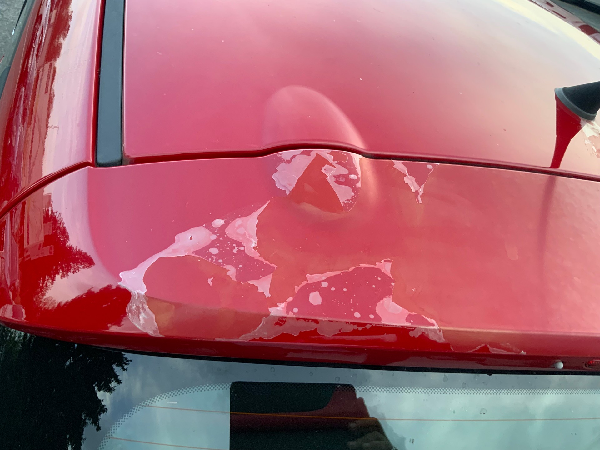 LANCIA Ypsilon 1.2 Black&Red-image-7