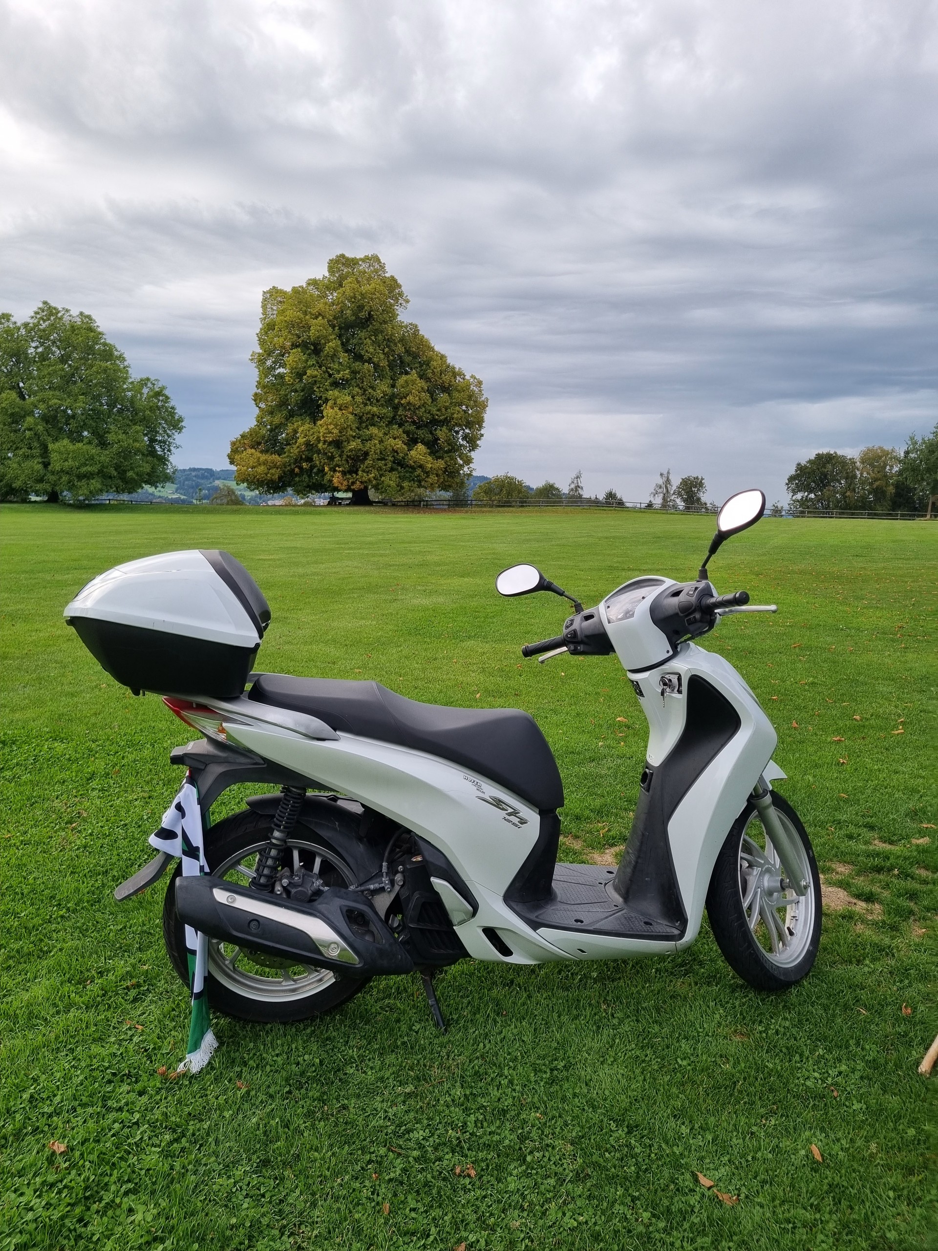 HONDA SH 125 i Discbrake-image-3