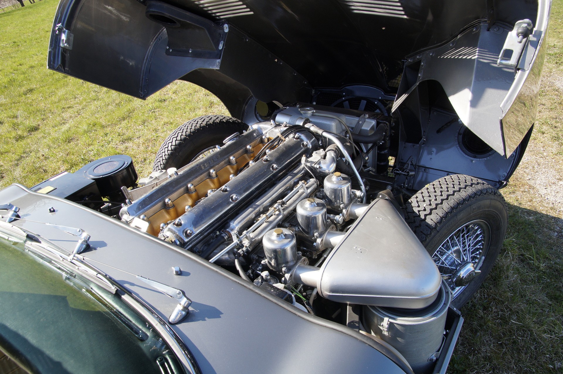 JAGUAR 3.8lt. FHC-image-6