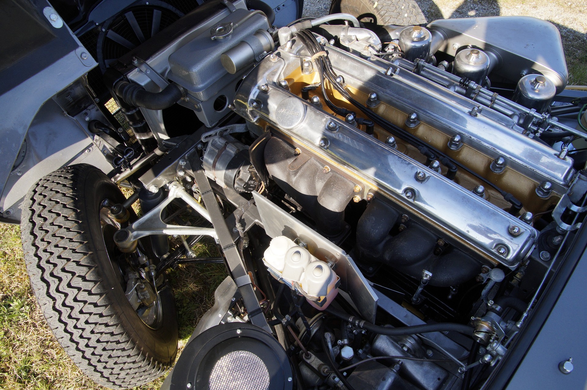JAGUAR 3.8lt. FHC-image-11