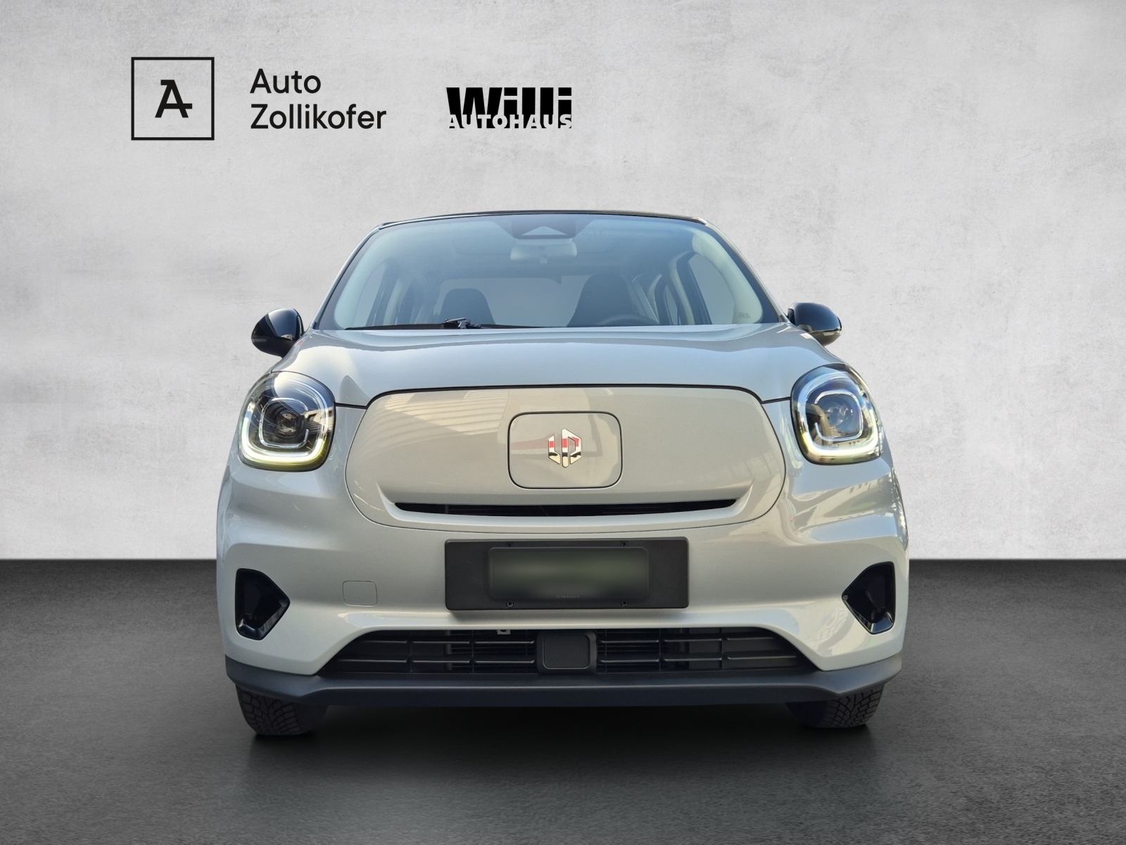 LEAPMOTOR T03 Electric Cargo 37.3kWh-showroom-element-1