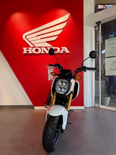 HONDA MSX 125-image-7