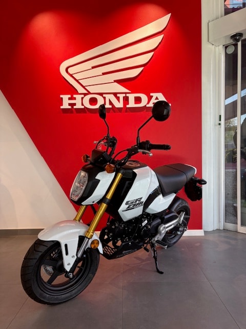 HONDA MSX 125-image-6