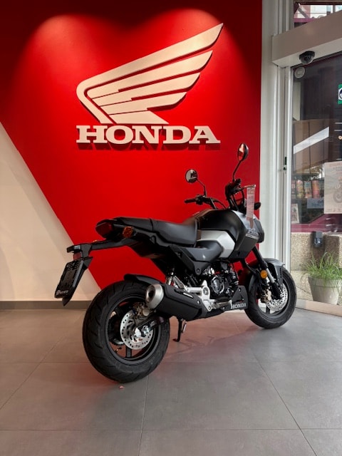 HONDA MSX 125-image-2