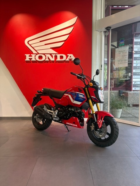 HONDA MSX 125-image-0
