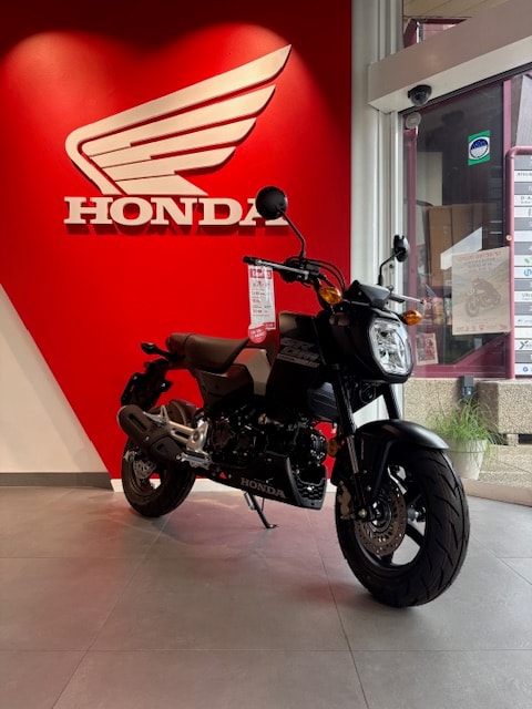 HONDA MSX 125-image-0