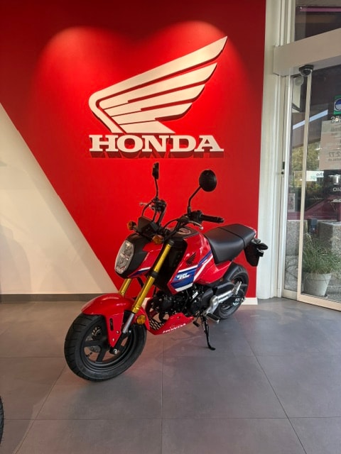 HONDA MSX 125-image-6