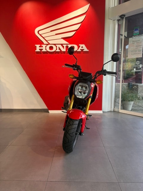 HONDA MSX 125-image-7