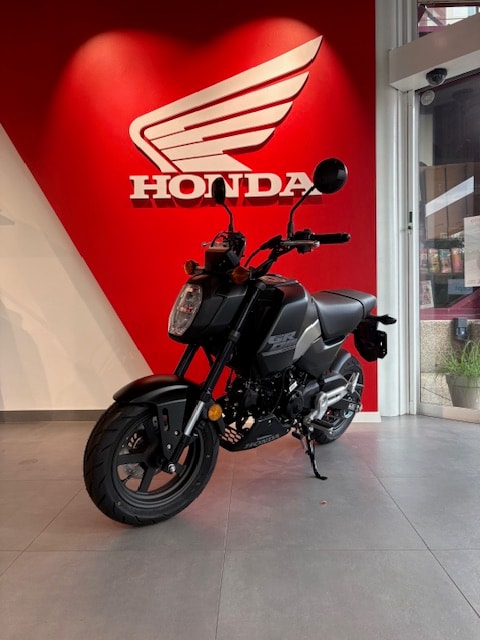 HONDA MSX 125-image-6