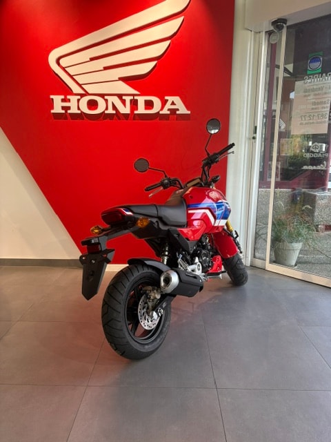 HONDA MSX 125-image-2