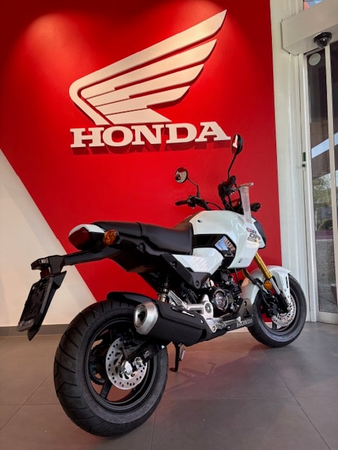 HONDA MSX 125-image-2