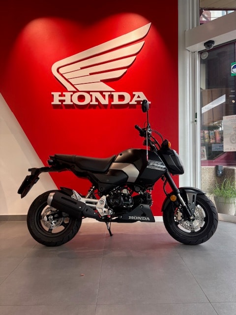 HONDA MSX 125-image-1