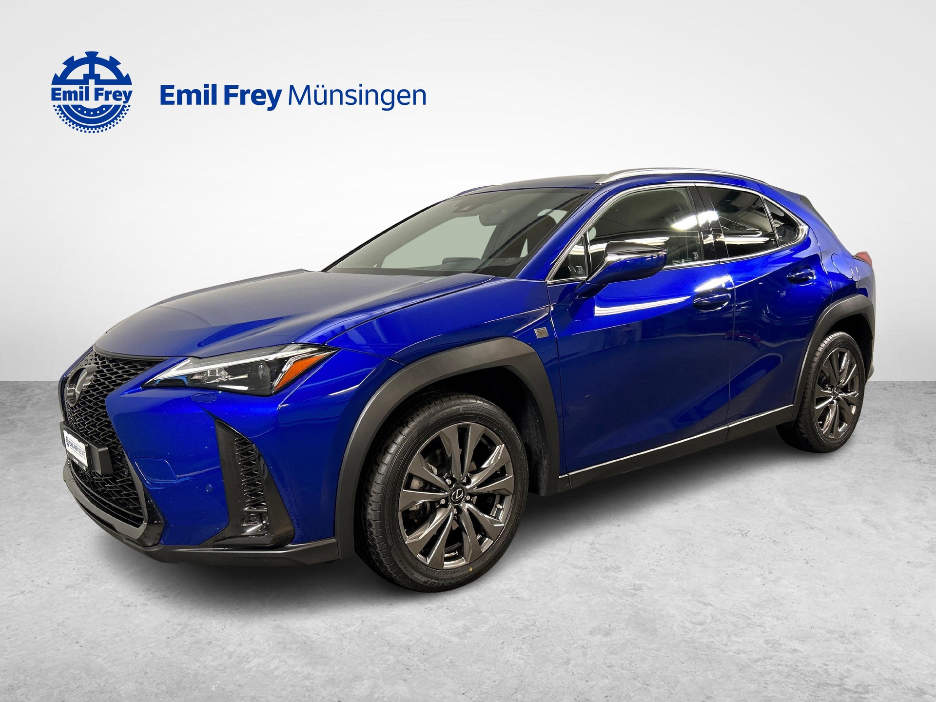 LEXUS UX 250h F-Line-showroom-element-1