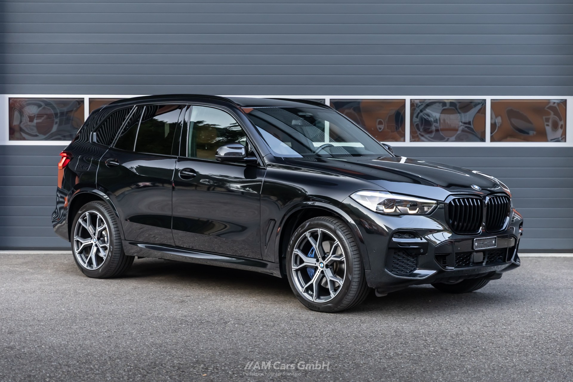 BMW X5 xDrive 48V 30d M Sport Steptronic