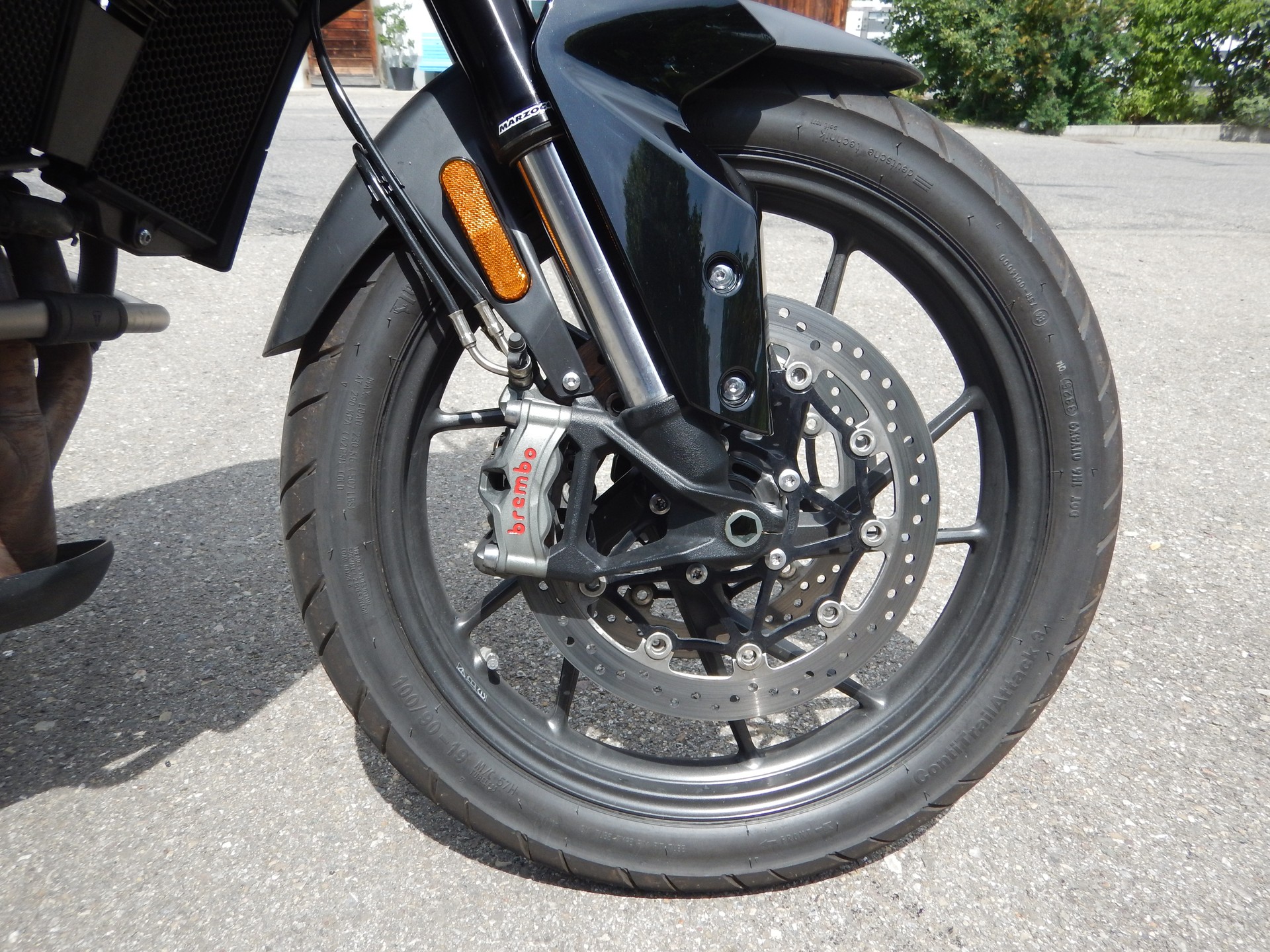 TRIUMPH Tiger 900 GT Pro-image-6