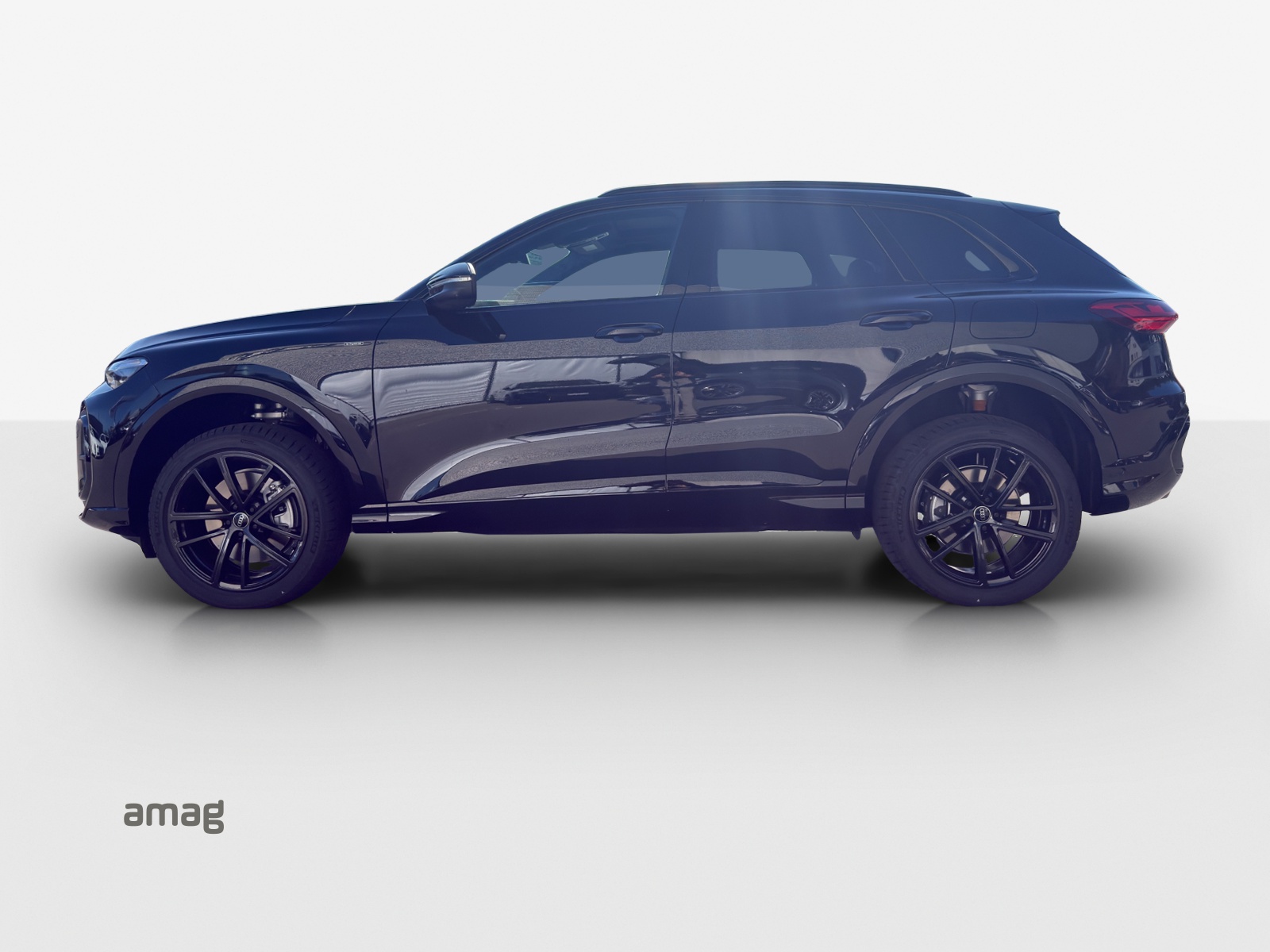 AUDI Q5 e-hybrid quattro 220 kW S-tronic-showroom-element-1