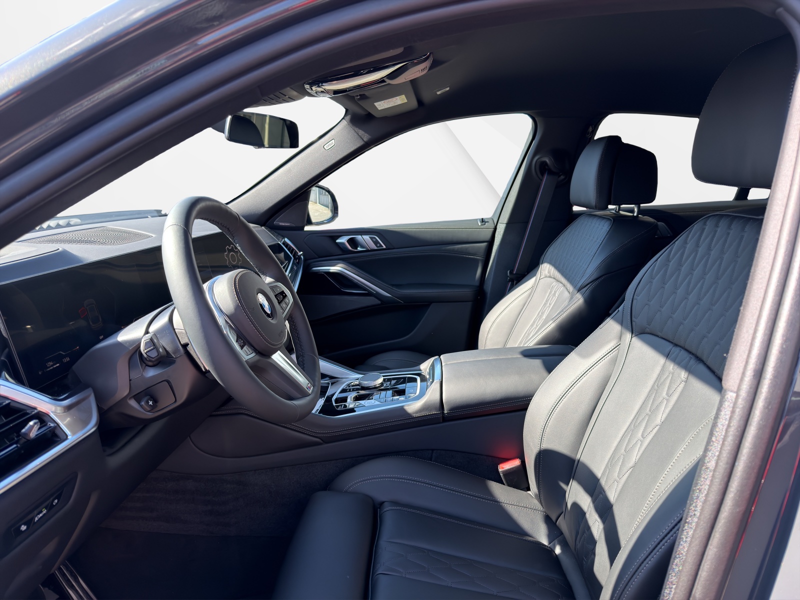 BMW X6 xDrive 48V 40d M Sport-image-11