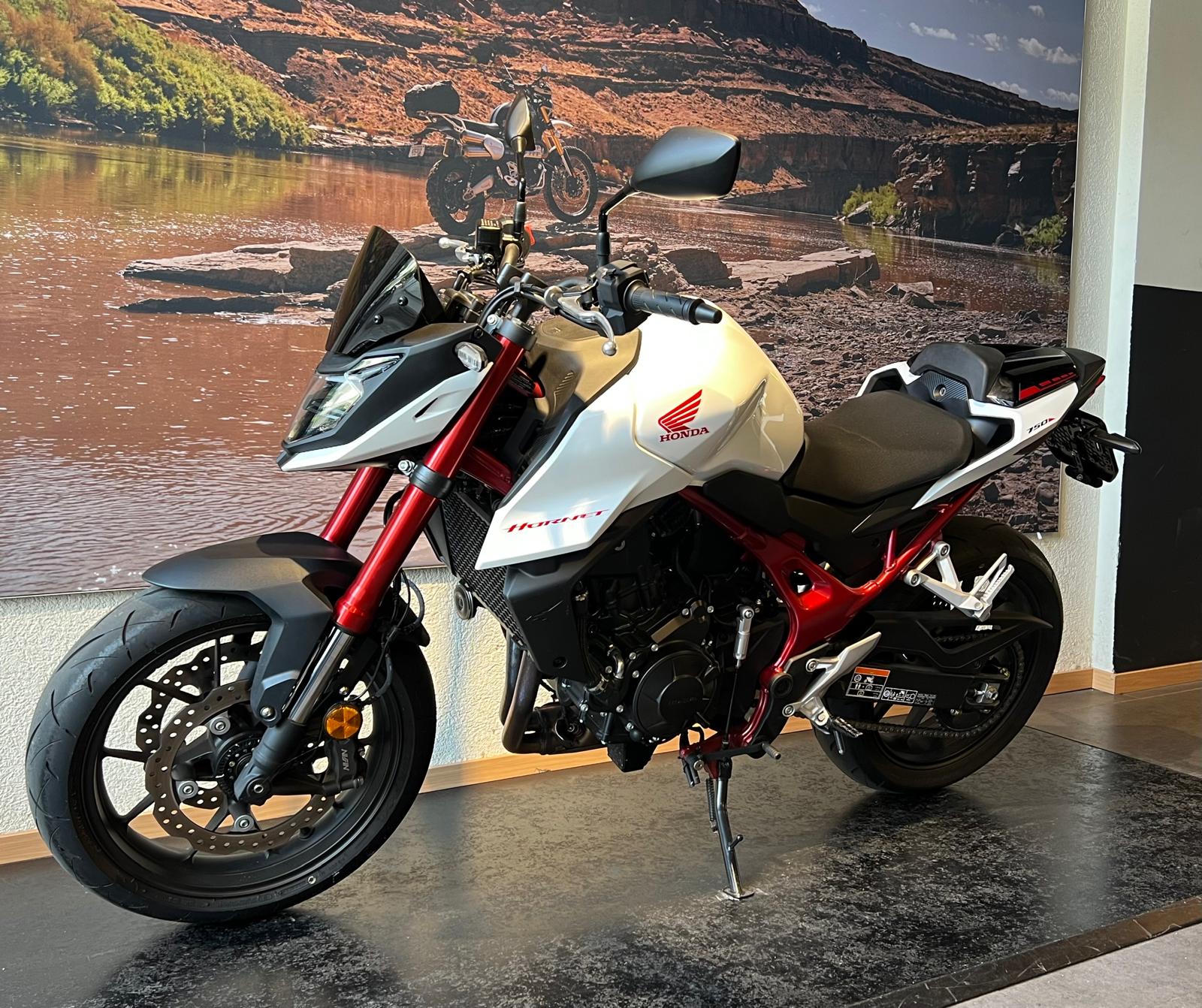 HONDA CB 750 Hornet-image-3