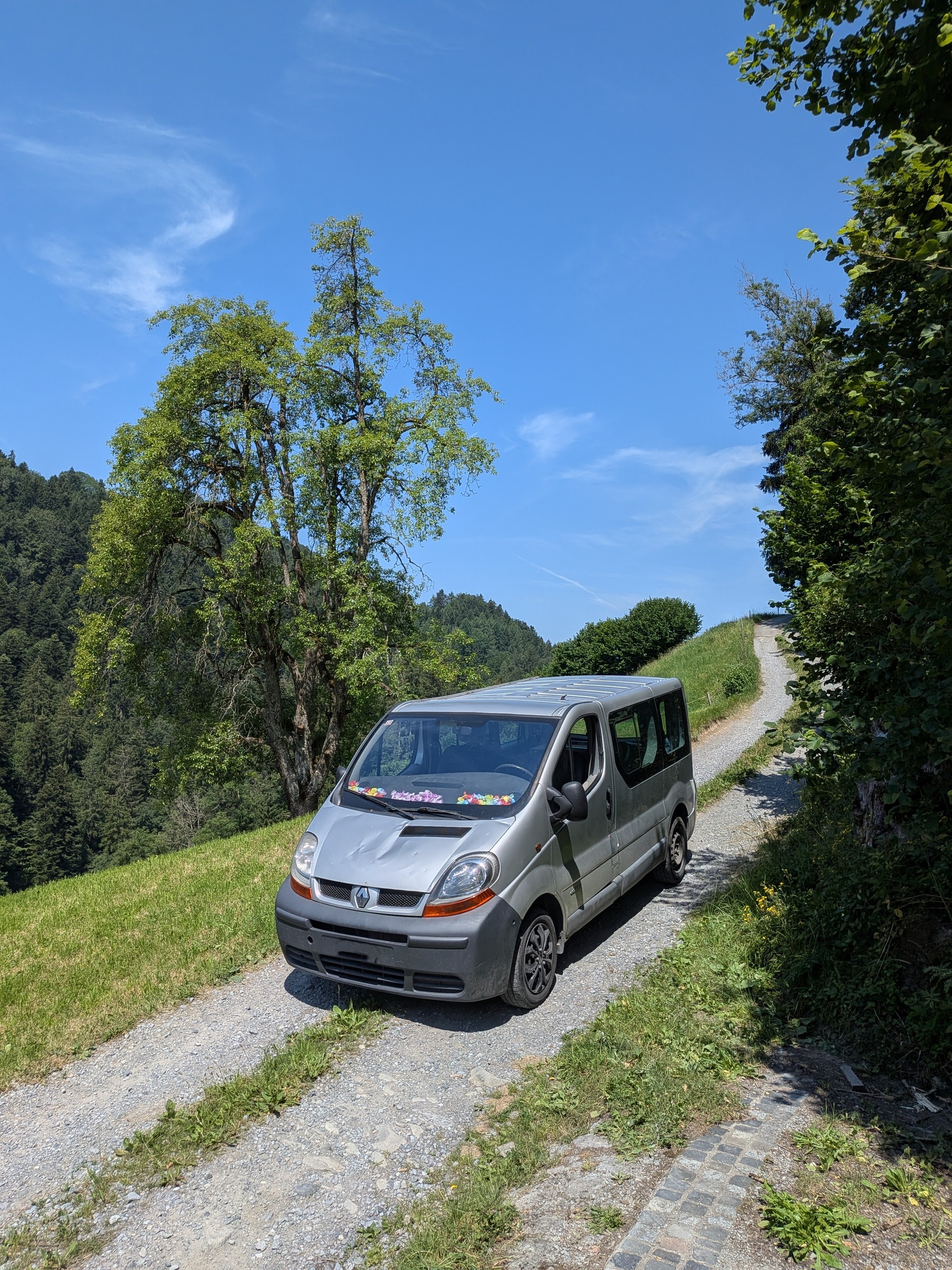 RENAULT 1.9 dCi 100-image-1