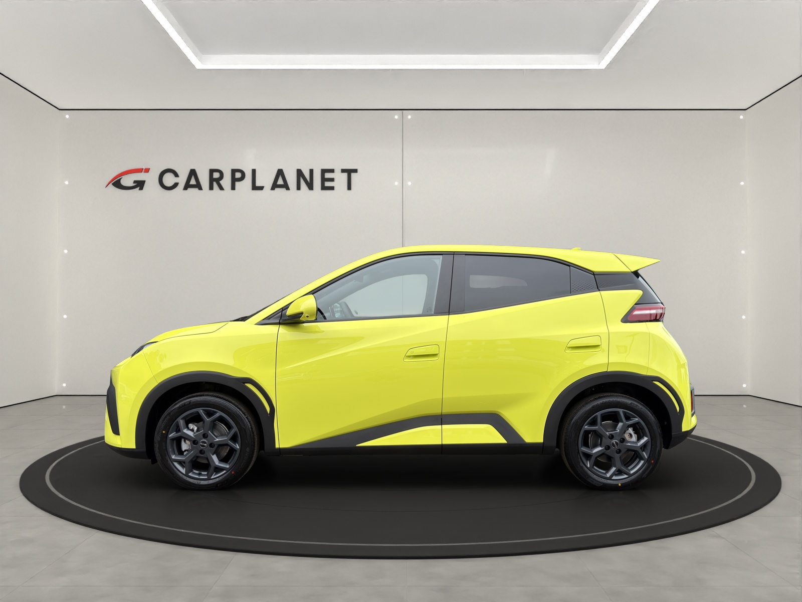 BYD Dolphin Surf Comfort-showroom-element-2