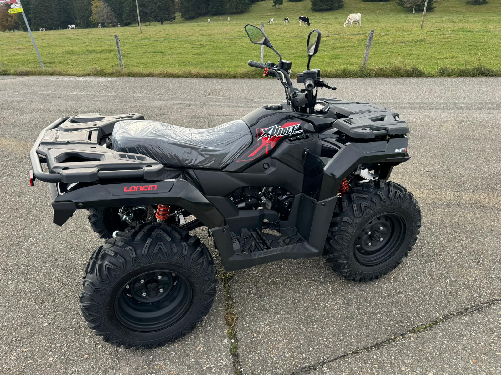 GOES Loncin XWolf 300-image-5