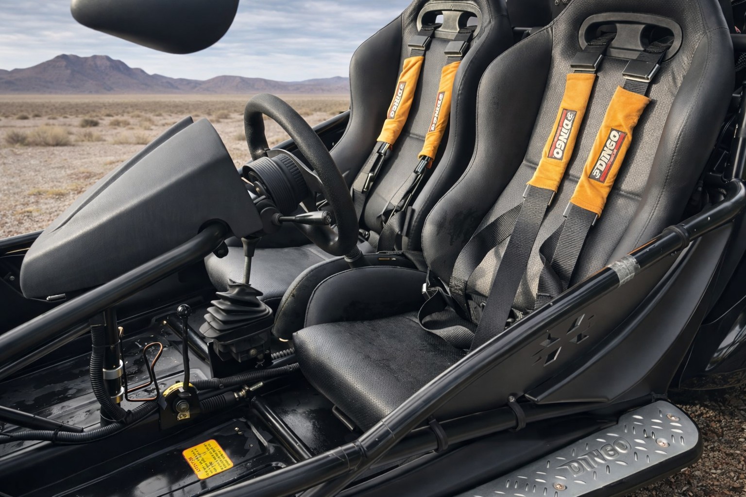 PGO Buggy-image-8