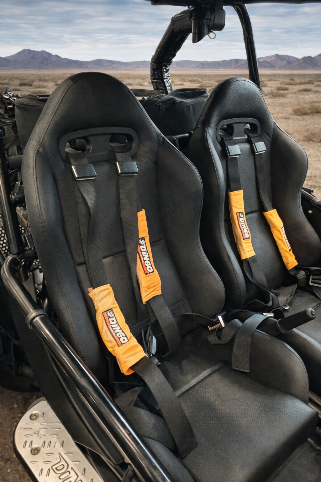 PGO Buggy-image-9