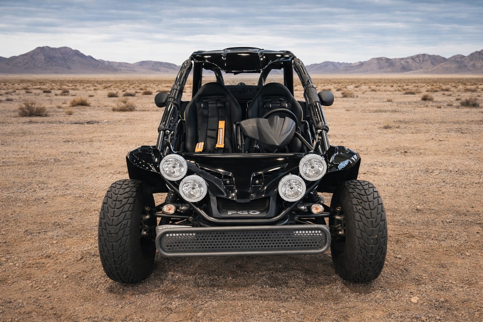 PGO Buggy-image-1