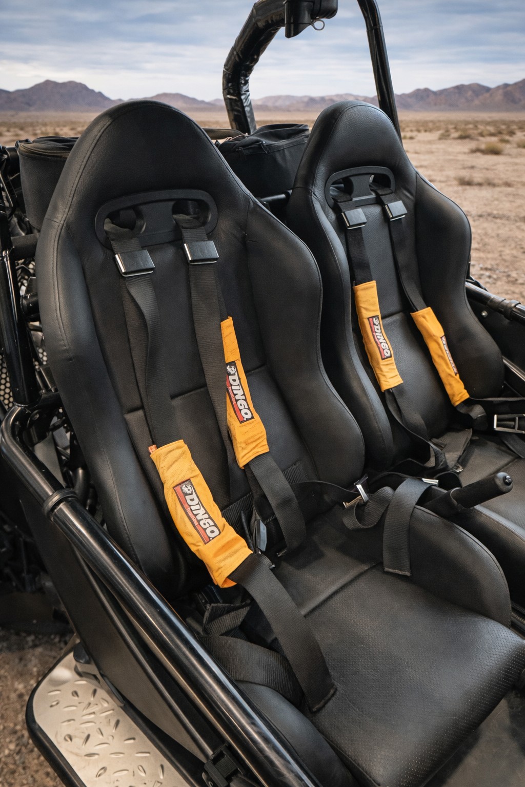 PGO Buggy-image-7