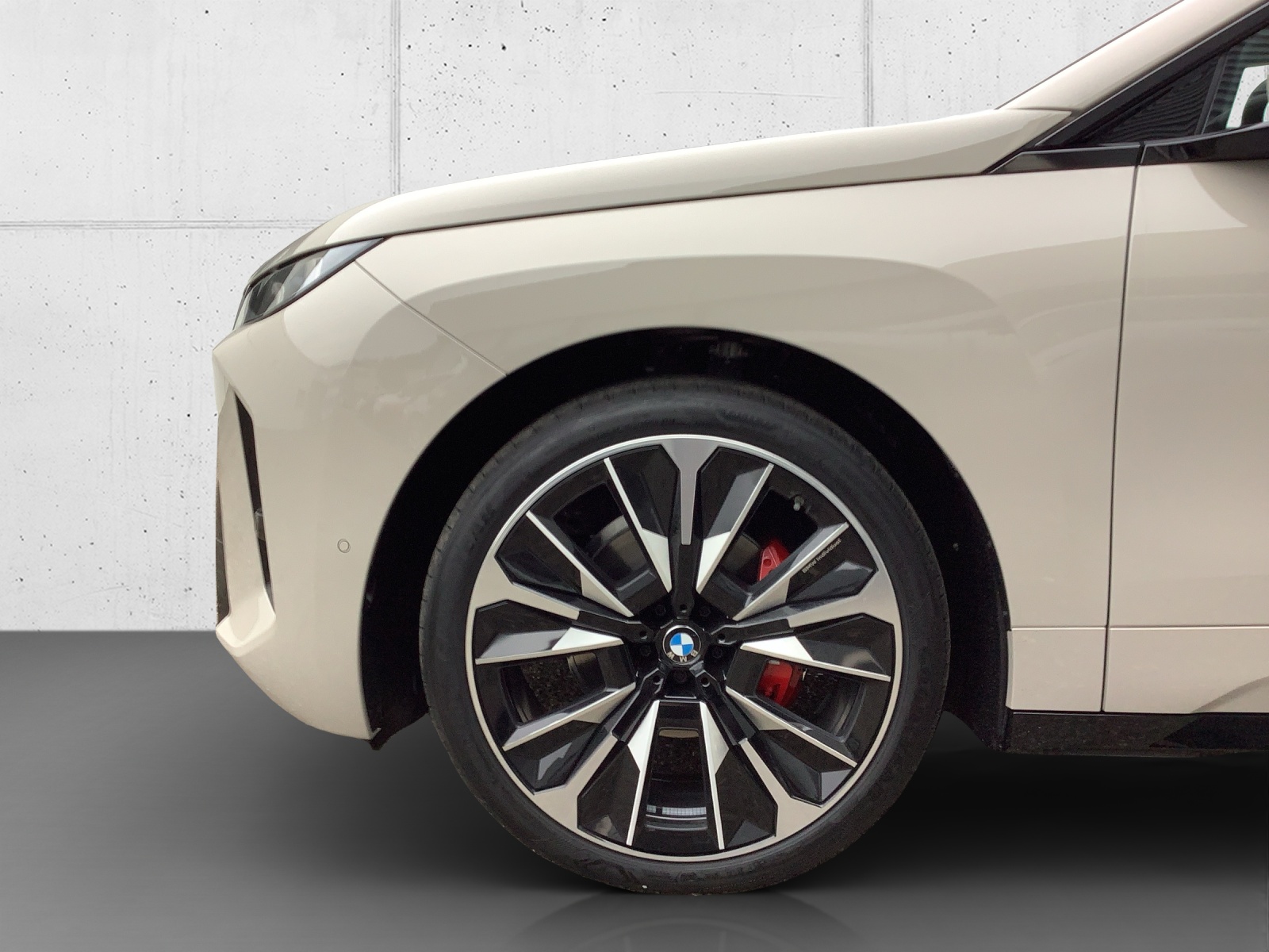 BMW iX xDrive45 M Sport Pro-image-10