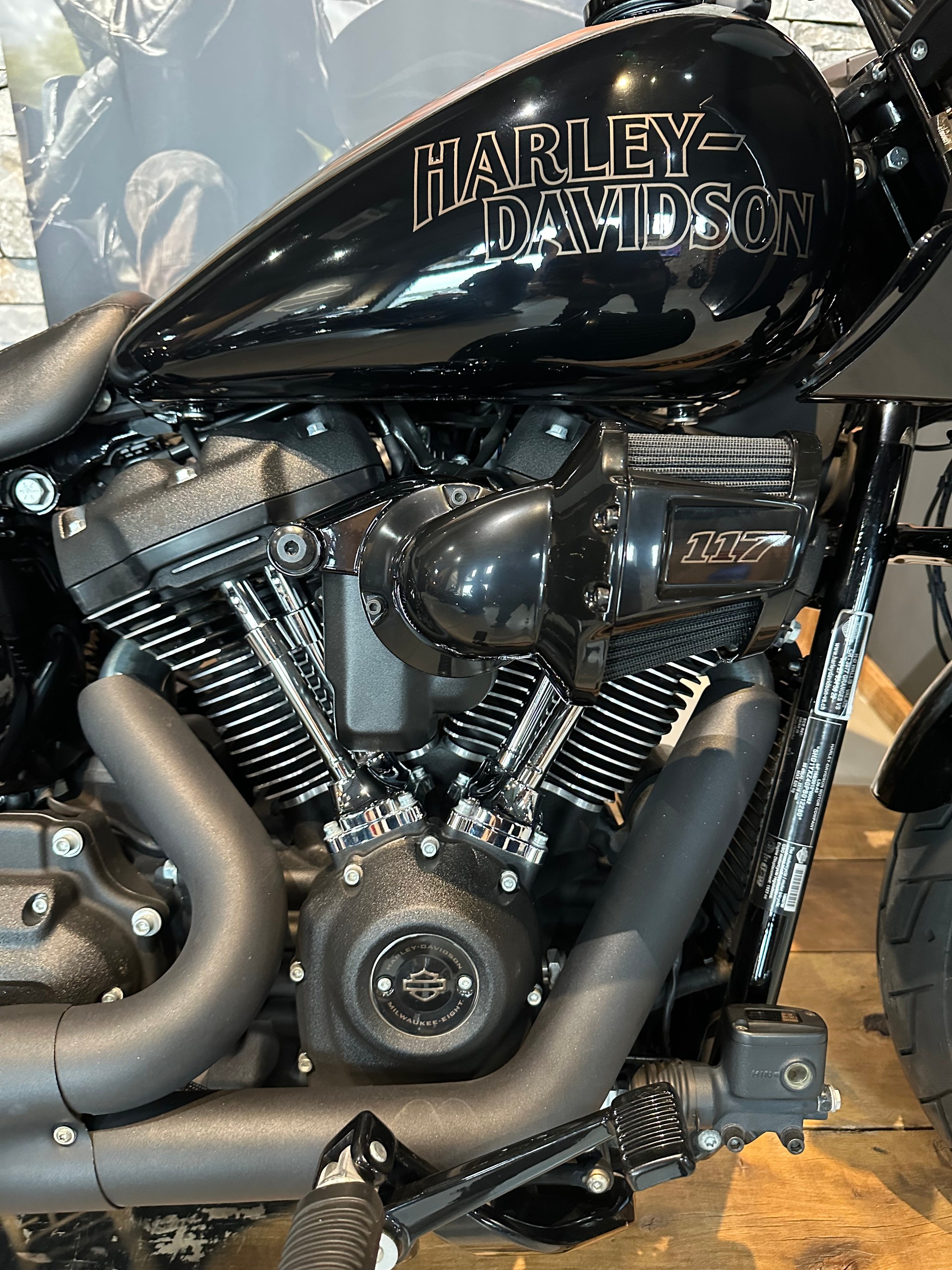 HARLEY-DAVIDSON Low Rider ST 117ci-image-3