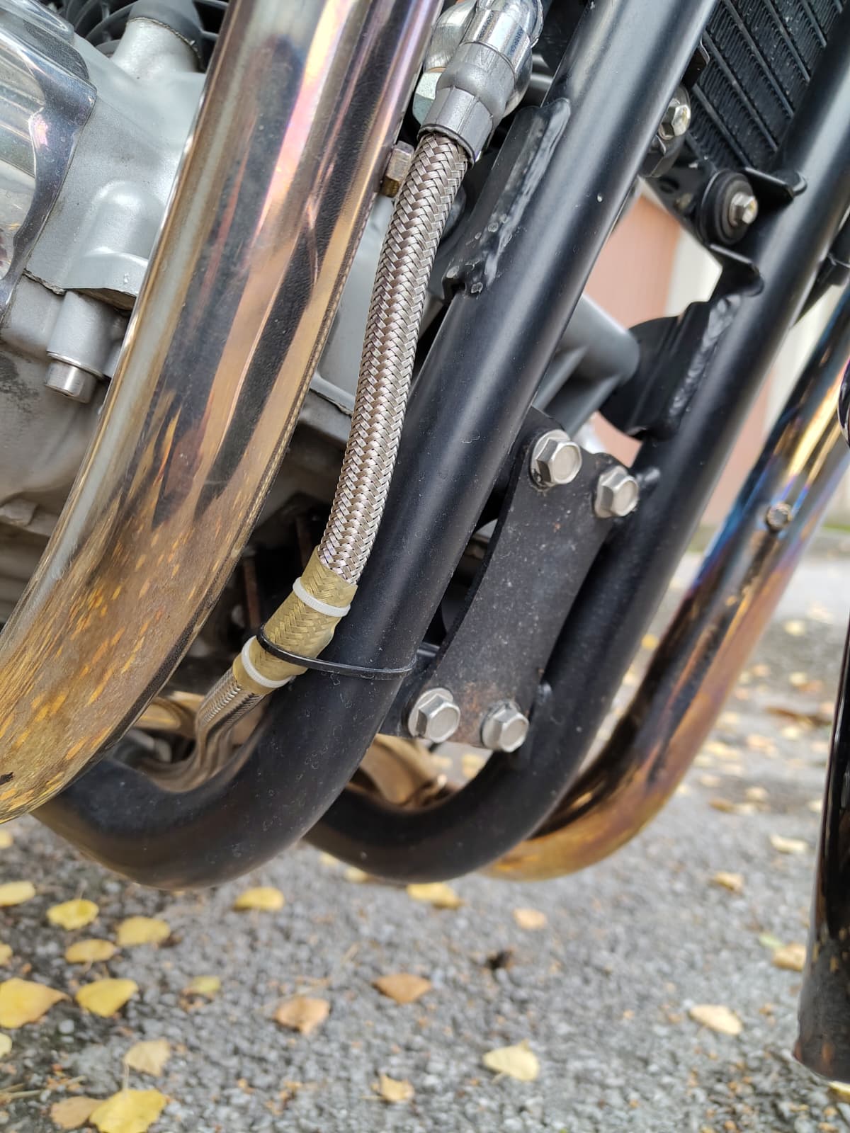 TRIUMPH Bonneville 800-image-8