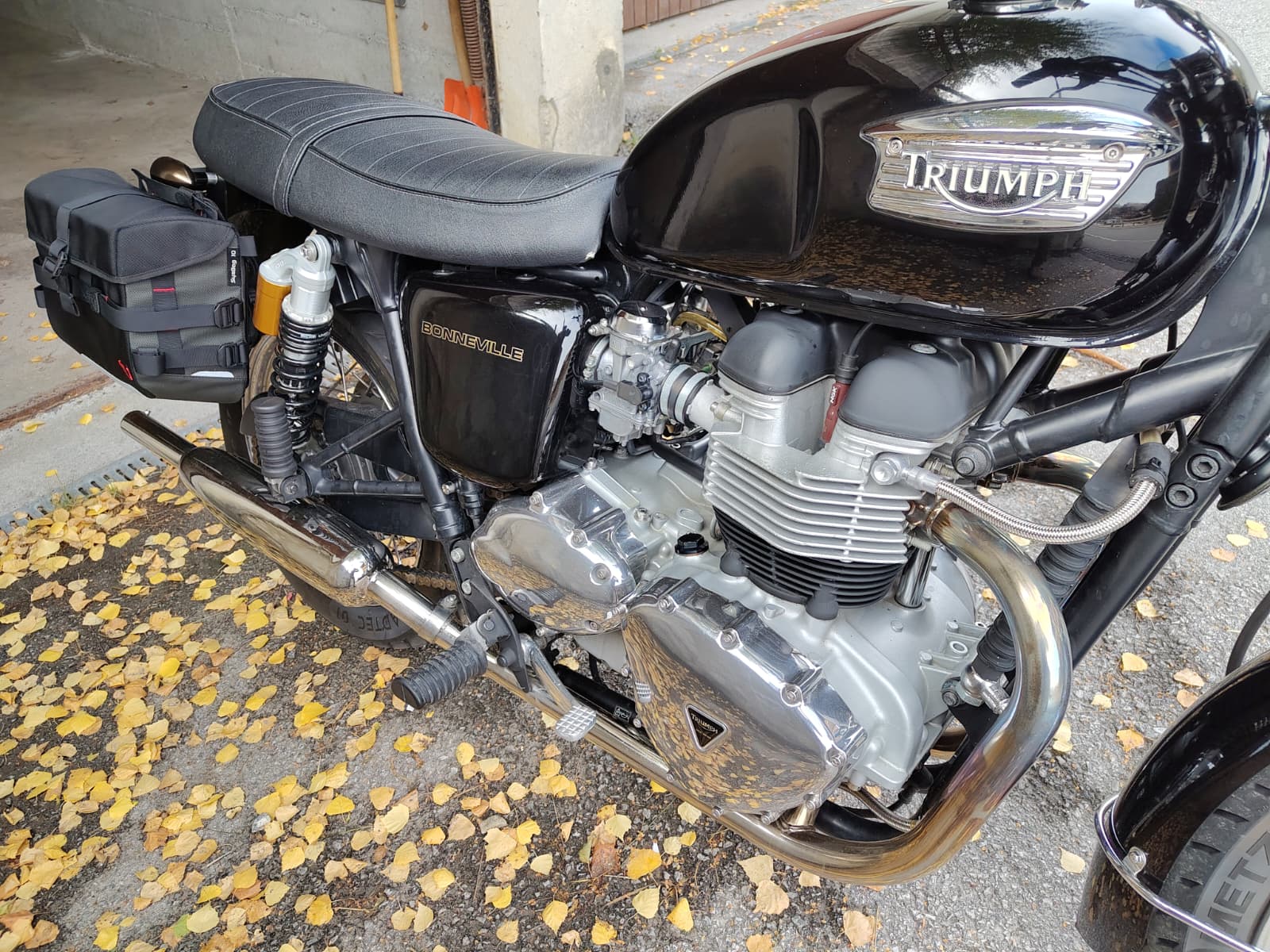 TRIUMPH Bonneville 800-image-5