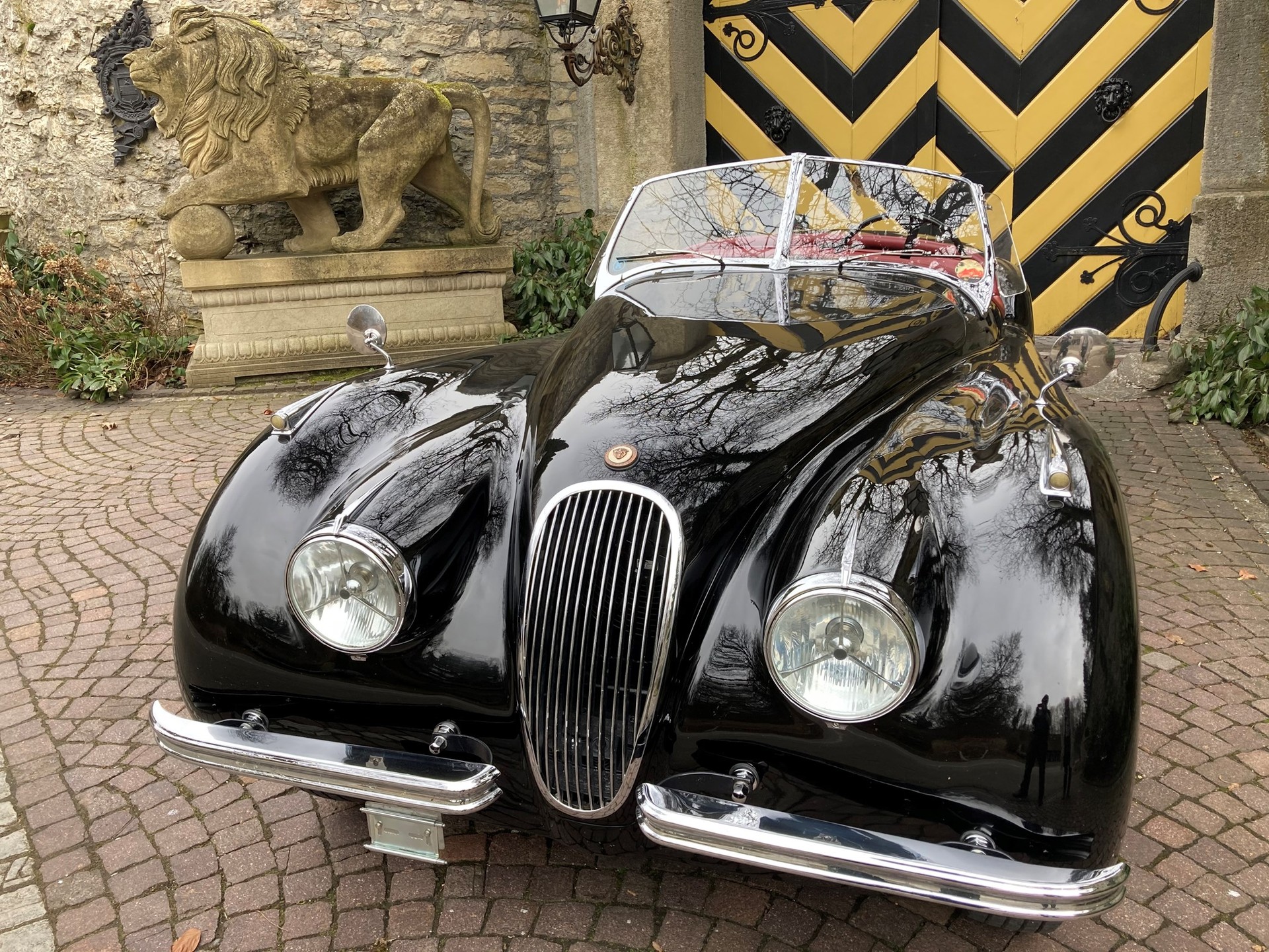 JAGUAR XK120-image-5