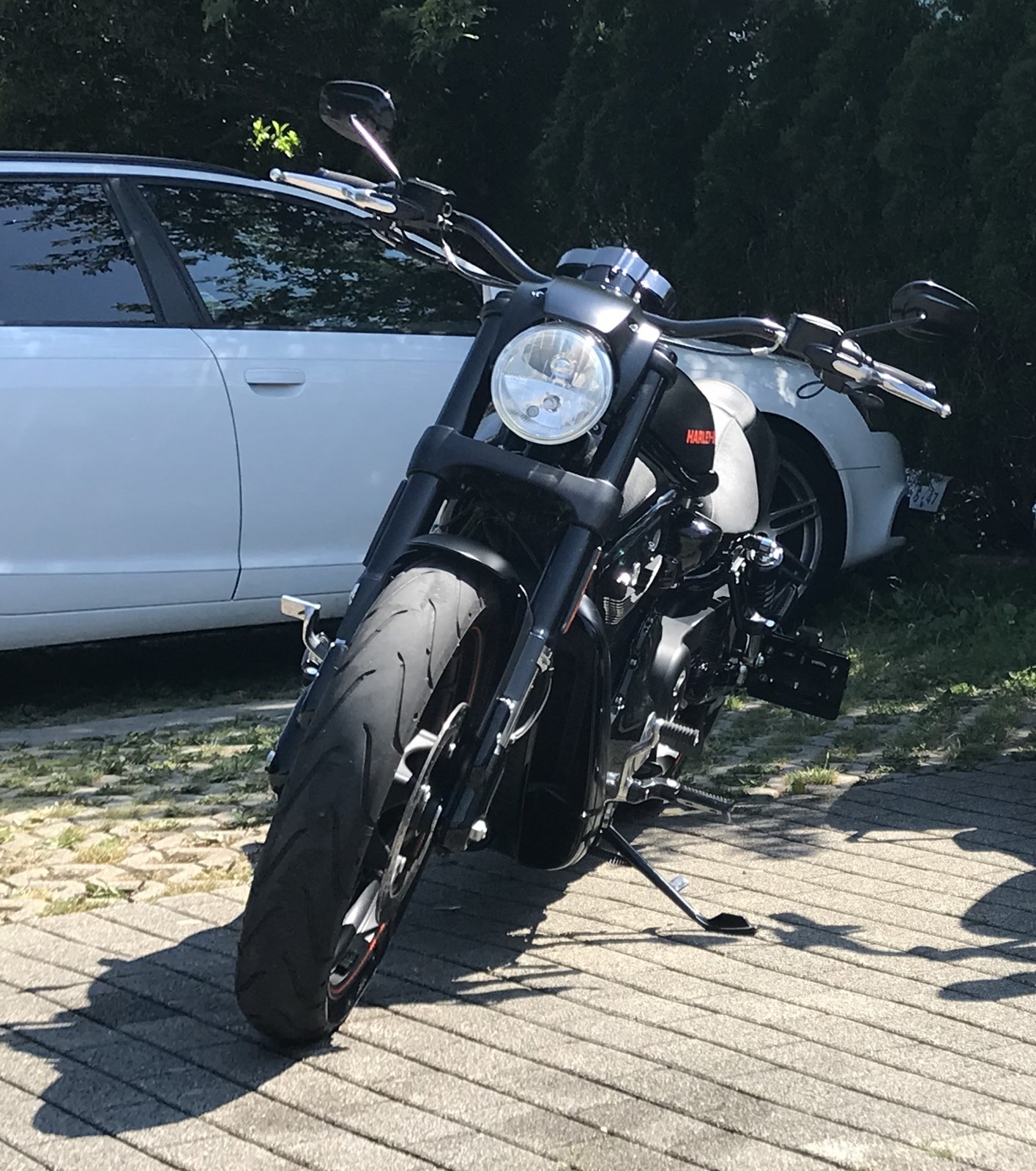 HARLEY-DAVIDSON VRSCDX Night Rod Special ABS-image-2