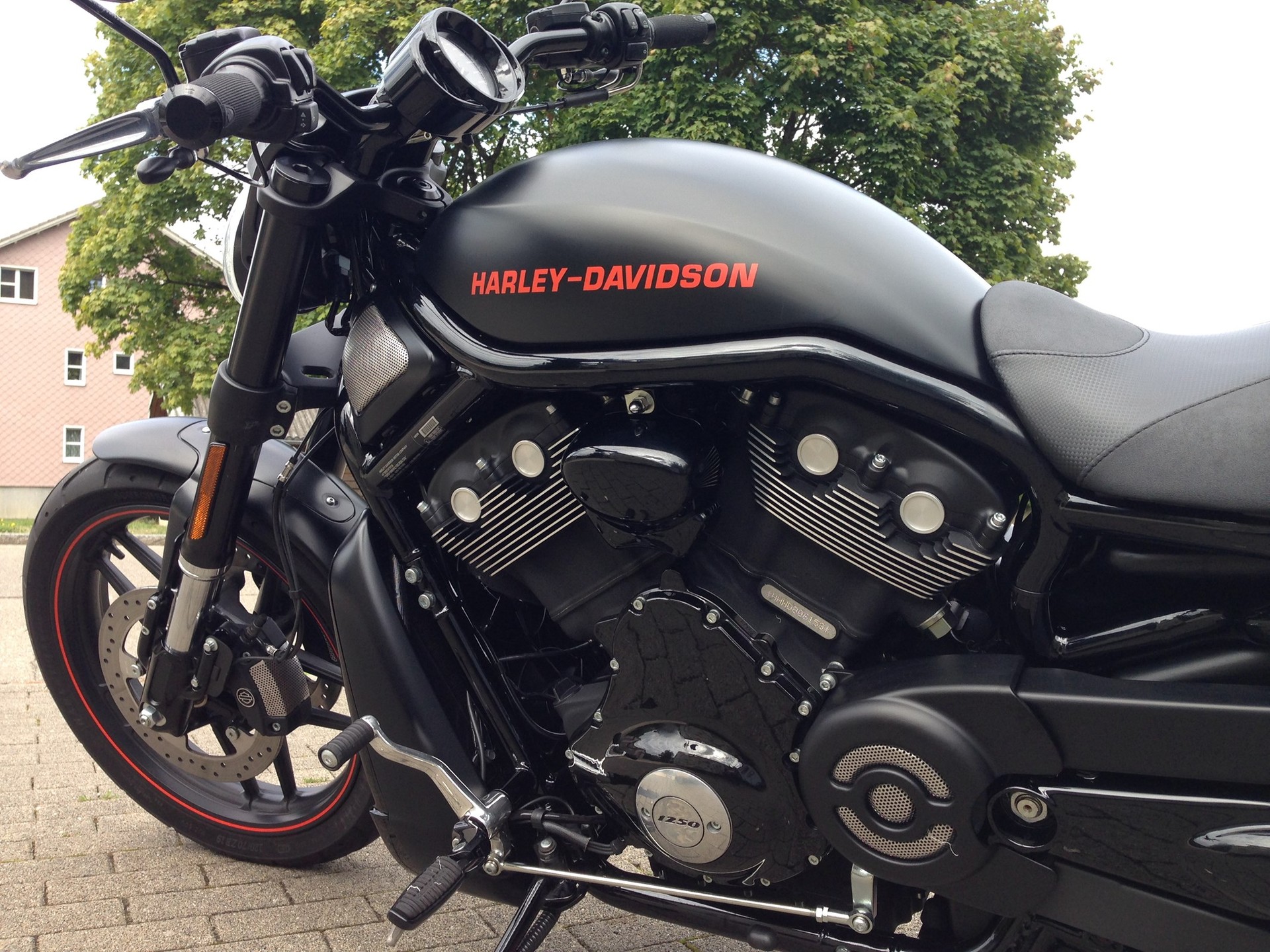 HARLEY-DAVIDSON VRSCDX Night Rod Special ABS-image-5