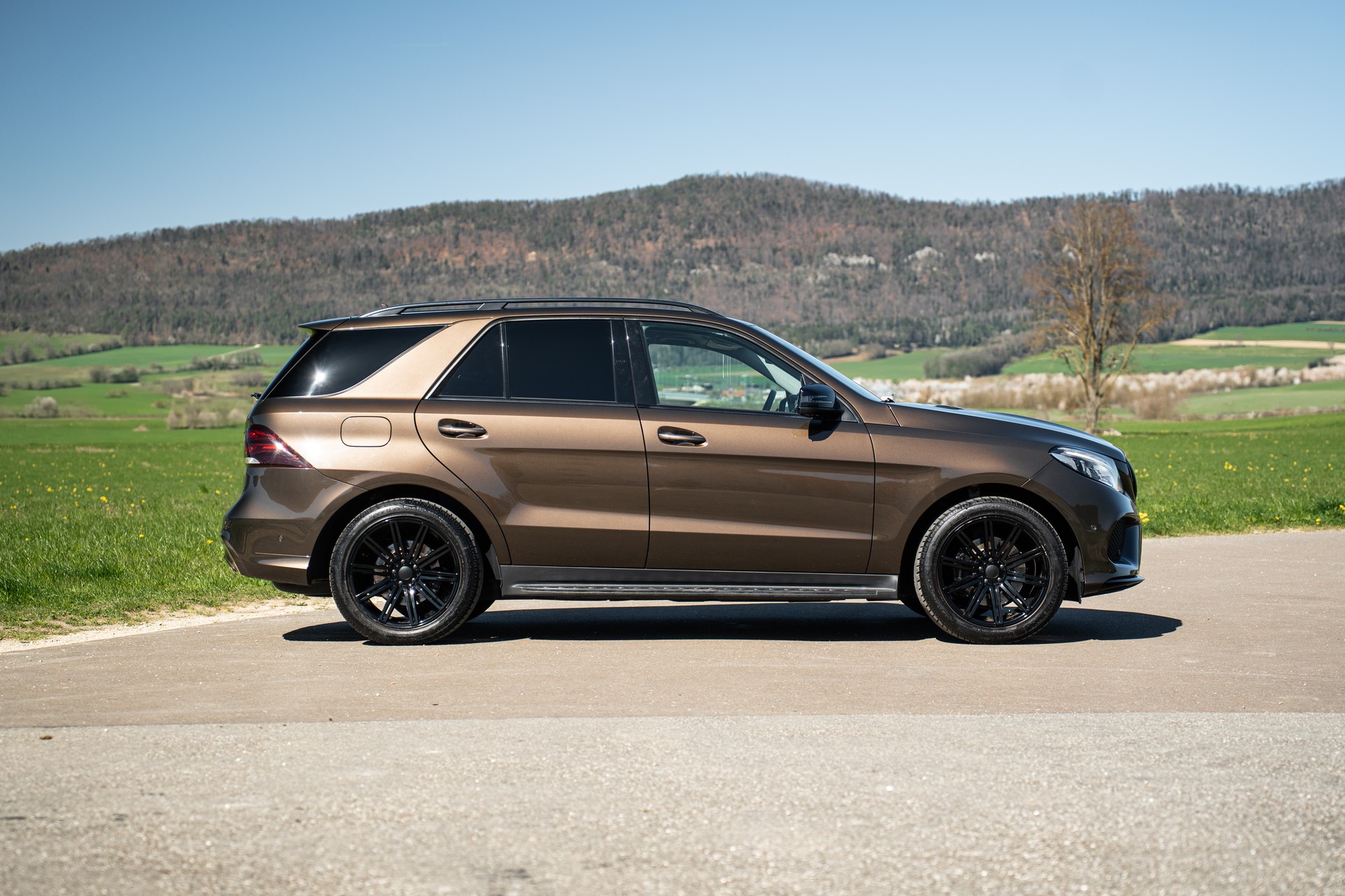 MERCEDES-BENZ GLE 250 d 4Matic 9G-Tronic-image-3