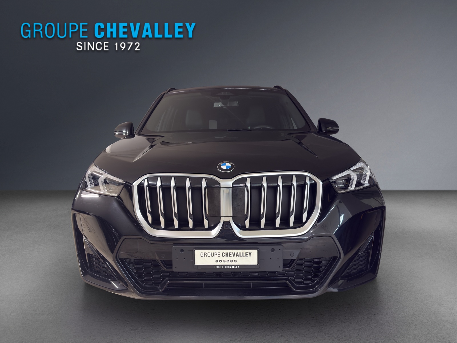 BMW X1 sDrive 18i M Sport-showroom-element-1