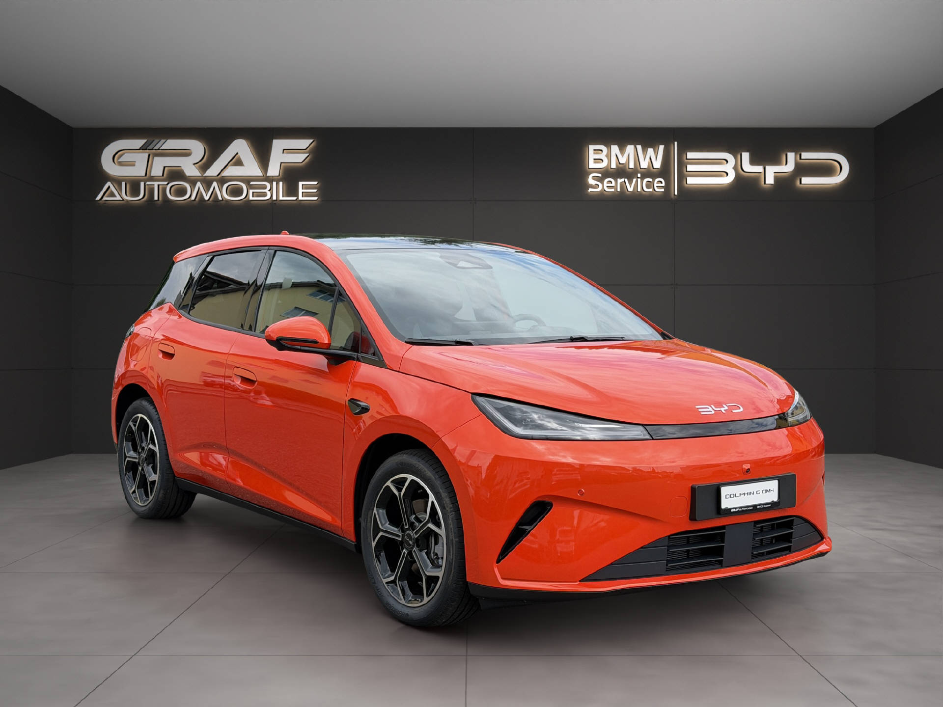 BYD Dolphin G DM-i Comfort-showroom-element-2
